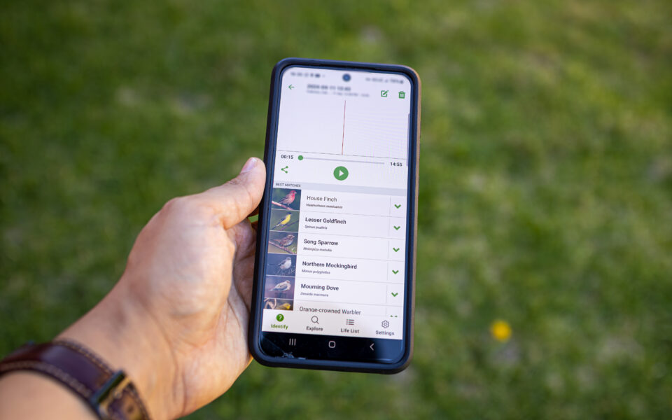 5 Useful Apps to Help You Become a Naturalist